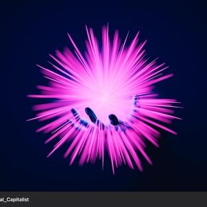 Meet your Posher, Connor